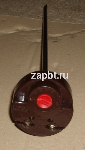 Термостат водонагревателя Tr/94 20a. 30-90с L-250mm с термошкалой 62ts04 Москва